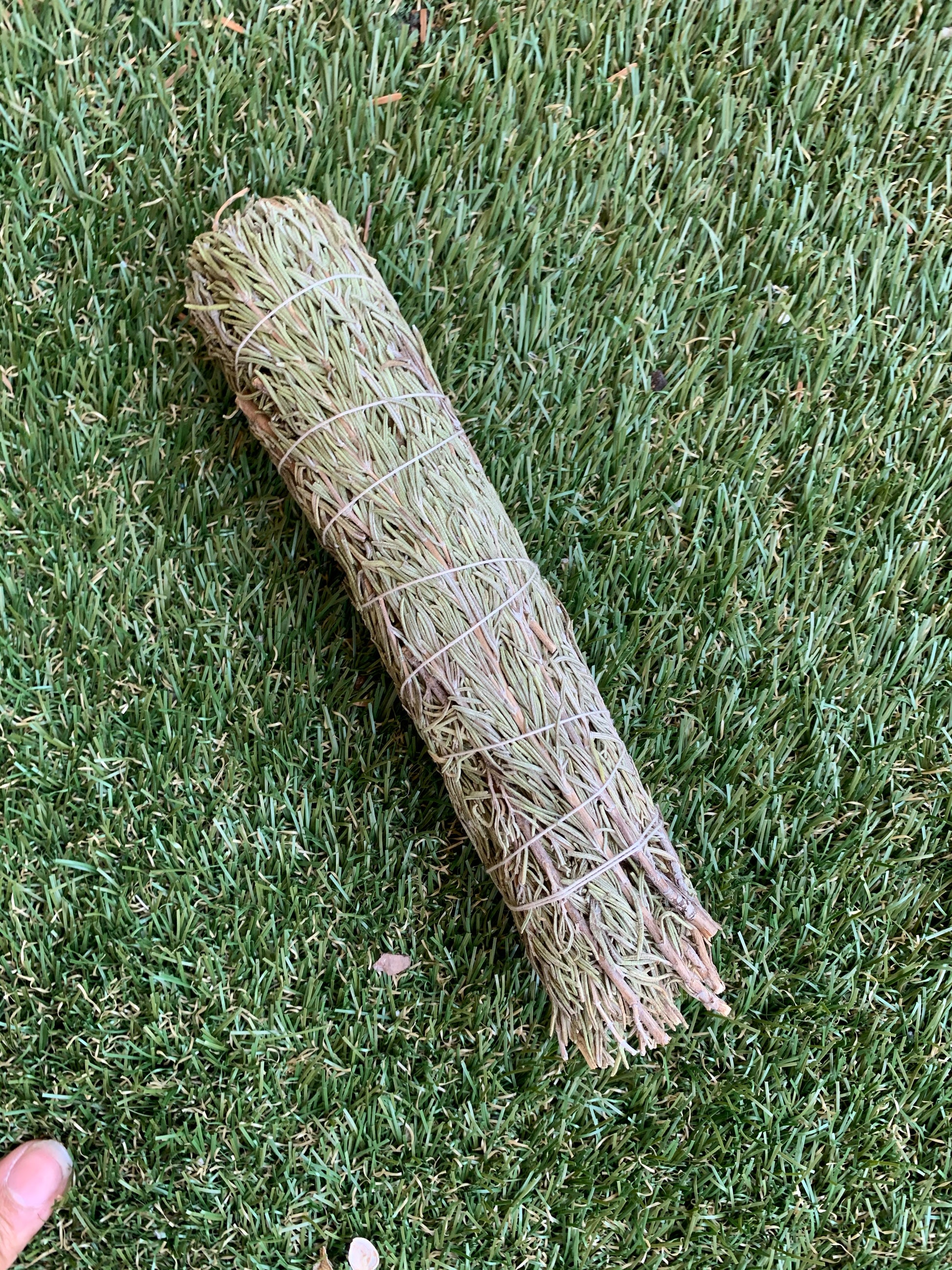 Rosemary Smudge Sticks  4” - SpritualCare.co